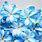 Cool Blue Flowers