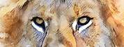 Cool Watercolor Lion