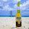Corona Beer Beach