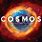 Cosmos A Space-Time Odyssey DVD