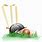 Cricket Logo Clip Art