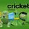 Cricket Wireless Facebook
