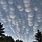 Cumulus Mammatus Clouds