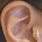 Cute Ear Piercings Tragus