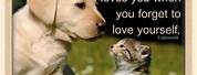 Cute Friends Animal Quotes