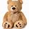 Cute Funny Teddy Bear