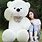 Cute Giant Teddy Bears