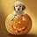Cute Halloween Dog Pictures