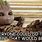 Cute Memes Baby Groot