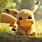Cute Pikachu Photos