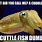 Cuttlefish Meme