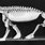 Cynognathus Fossil
