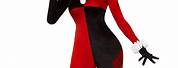 DC Comics Harley Quinn Costume
