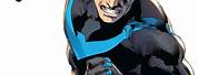 DC Nightwing Swing PNG
