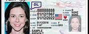 DMV ID Card Online