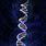 DNA Photograph