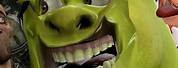 Dank Memes Shrek Funny Face