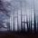 Dark Forest Fog Wallpaper