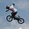 Dave Mirra BMX Bike
