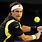 David Ferrer Tennis