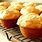 Diabetic Muffin Recipes