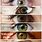 Different Hazel Eye Color Chart