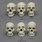 Different Human Skull Shapes