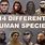 Different Humans