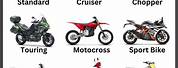 Different Types Motorcycle Styles