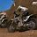 Dirt Bike Games Xbox 360