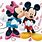 Disney Mickey & Minnie Mouse