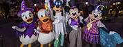 Disneyland Adventures Costumes
