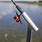 Dock Fishing Rod Holders
