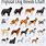 Dog Breeds Chart with Names