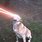 Dog with Laser Eyes