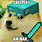 Doge Meme Minecraft Skin