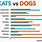 Dogs vs Cats Chart