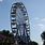 Dorney Park Ferris Wheel