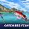 Downloadable Fishing Games