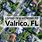 Downtown Valrico Florida