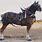 Draft Horse in Harness