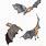 Drawings of Bats Flying