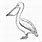 Drawings of Pelicans