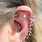 Ear Body Piercing