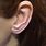 Ear Crawler Earrings
