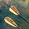 Easton Axis N-Fused Carbon Arrows with Max Hunter Vanes