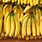 Ecuador Bananas