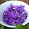 Edible Purple Flowers