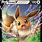 Eevee V Pokemon Card