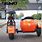 Electric Scooter with Sidecar